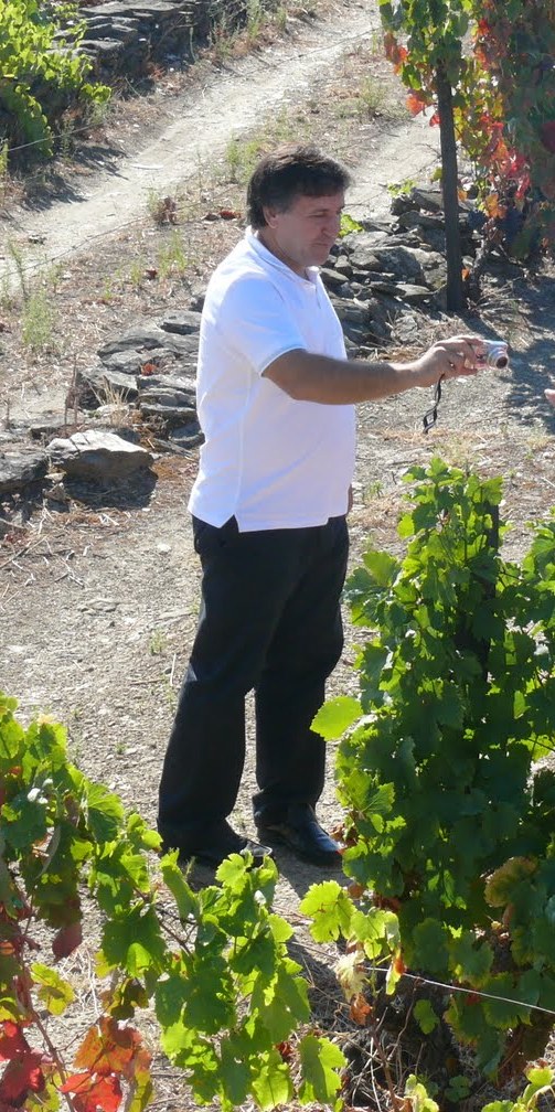 Victor Marques, Portuguese wine-grower tries to adopt an organic approach